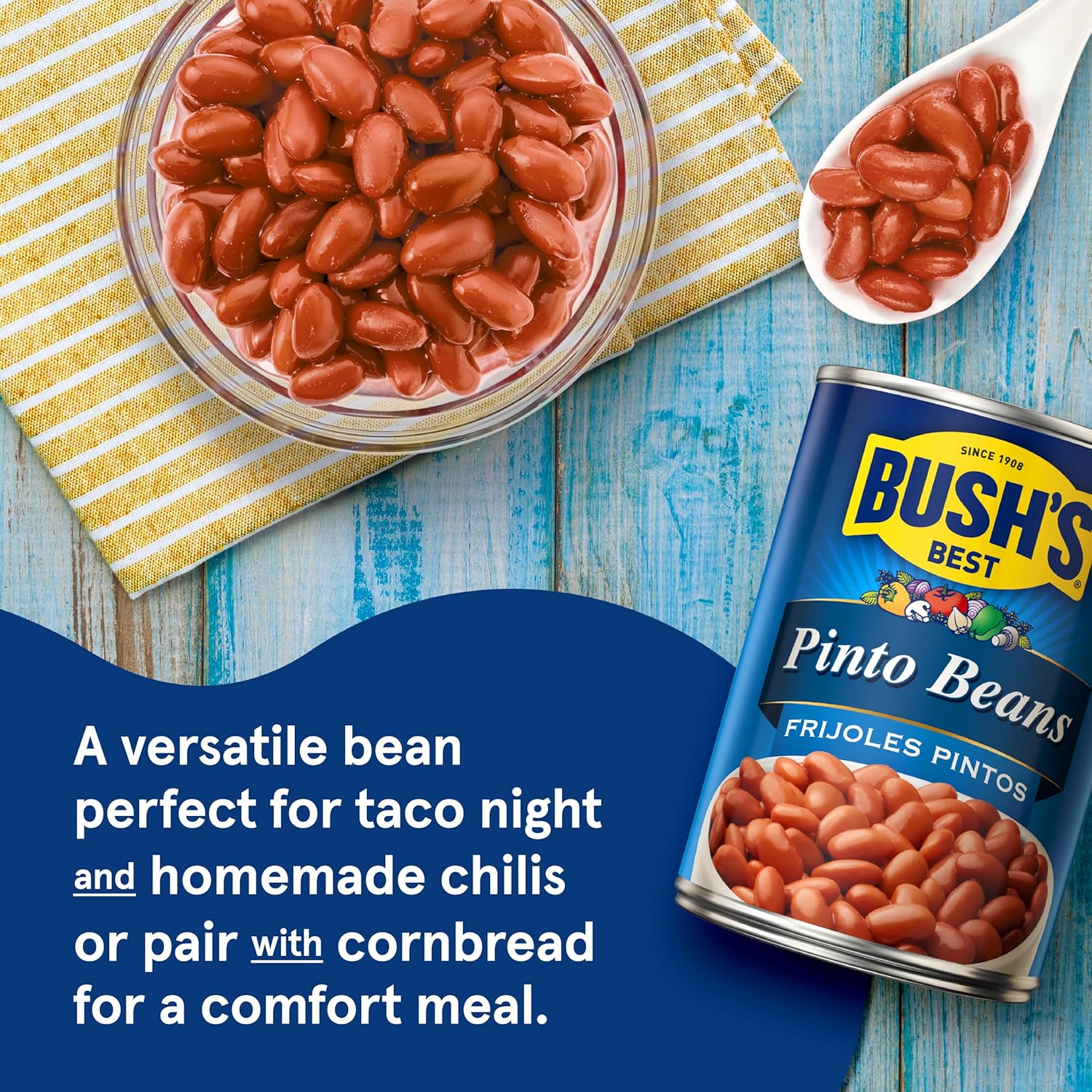 BUSH'S BEST 16 oz Canned Pinto Beans, Source of Plant Based Protein and Fiber, Low Fat, Gluten Free, Great For Soups, Salads and More, (Pack of 12)